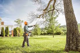 Best Tree Health Inspection  in Winnebago, IL